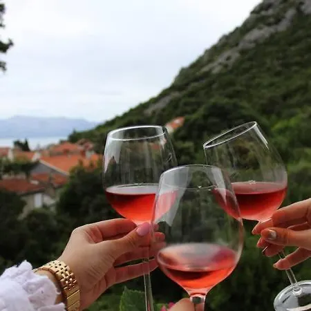 Appartamento Blossom With Amazing View Duba Peljeska