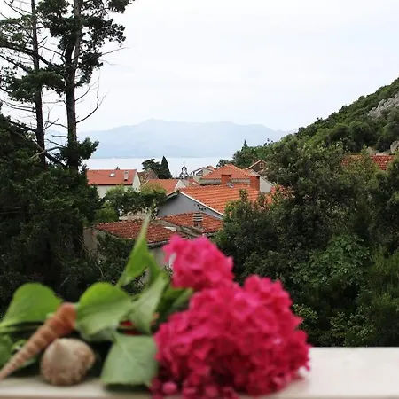 Blossom With Amazing View * Duba Peljeska