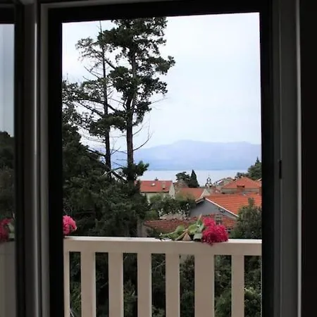 Blossom With Amazing View *