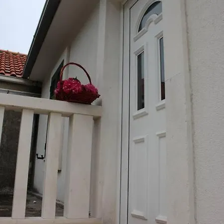 Blossom With Amazing View Apartment Duba Peljeska