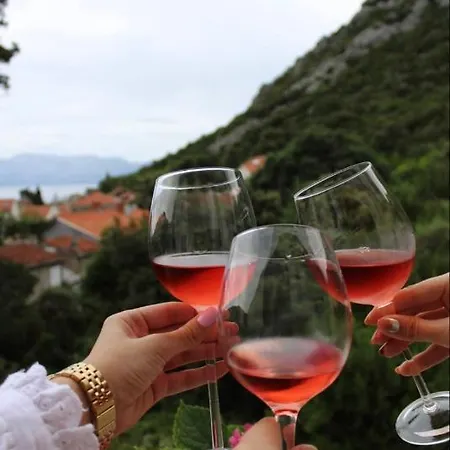 Appartamento Blossom With Amazing View Duba Peljeska