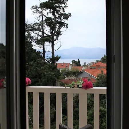 Blossom With Amazing View *
